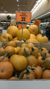 Sugar pumpkins!!!