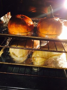 Roasted gourds