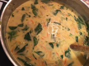 Paleo chicken and gnocchi soup v2.0